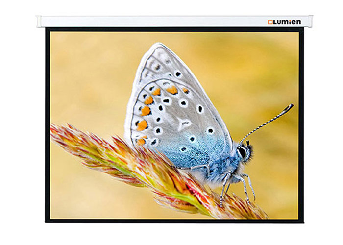 Экран с электроприводом Lumien Master Control LMC-100115 (16:9) 280x202 (272х153, MW)