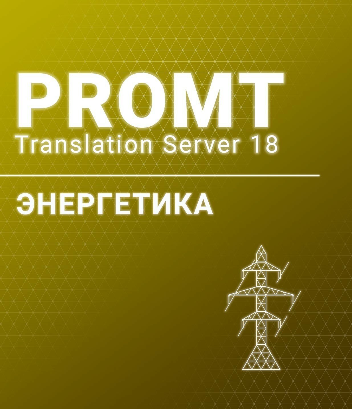PROMT Professional 20 Многоязычный, Энергетика