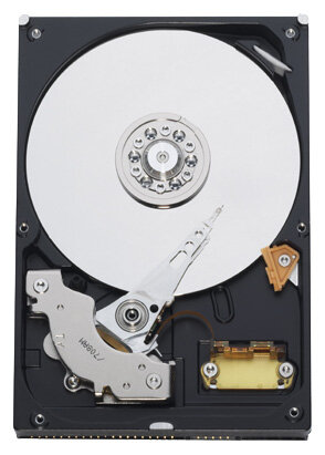 Жесткий диск Western Digital WD Blue 400 GB (WD4000AAKB)