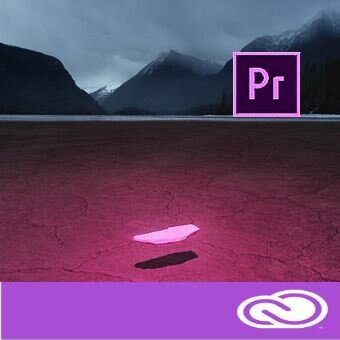 Подписка (электронно) Adobe Premiere Pro for enterprise 1 User Level 14 100+ (VIP Select 3 year commit), Продление 12