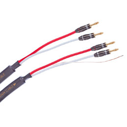 Tchernov Cable Classic XS SC Bn/Bn (1.65 m)