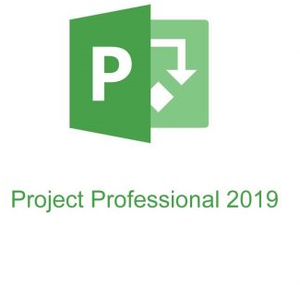 Microsoft Project Pro 2019 32 / 64 Russian Central / Eastern Euro Only EM DVD