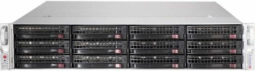 Серверная платформа 2U Supermicro SSG-5029P-E1CTR12L (1x3647, C622, 8xDDR4, 12x3.5quot; HS, 3008 SAS, 2x10GE, 2x800W,Rail)