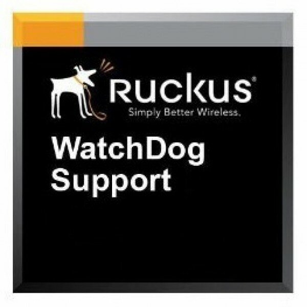 Программное обеспечение, лицензии, сервисные контракты Ruckus S02-S124-1000