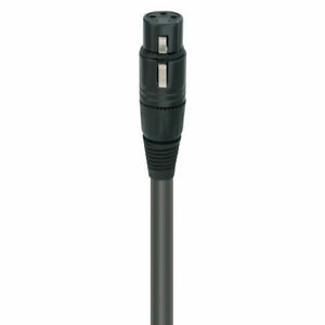 Пара кабелей XLR-XLR Wireworld Equinox 8 0.5 м