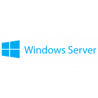 Windows Server CAL 2019 English MLP 5 User CAL STD