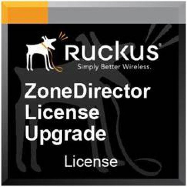 Программное обеспечение, лицензии, сервисные контракты Ruckus 909-0250-ZD00