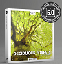 BOOM Library Deciduous Forests Stereo  Surround Арт.