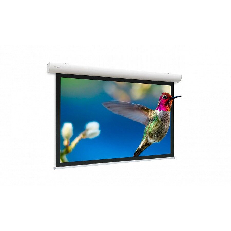 Экран для дома, настенно потолочный с электроприводом Projecta Elpro Concept 173x300 см 131quot; Matte White 10103518