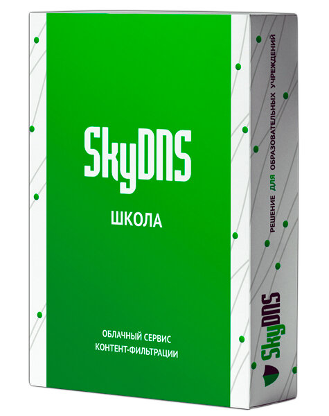 SkyDNS Школа. 100 лицензий на 1 год (SKY_Schl_100)