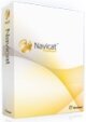 PremiumSoft Navicat Premium Essentials 1 User Licenses (price per user) (Linux) Арт.