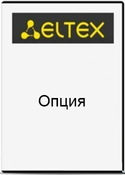 Опция ELTEX EMS-SBC-1000 системы Eltex.EMS для управления и мониторинга сетевыми элементами Eltex: 1 сетевой элемент SMG-1000
