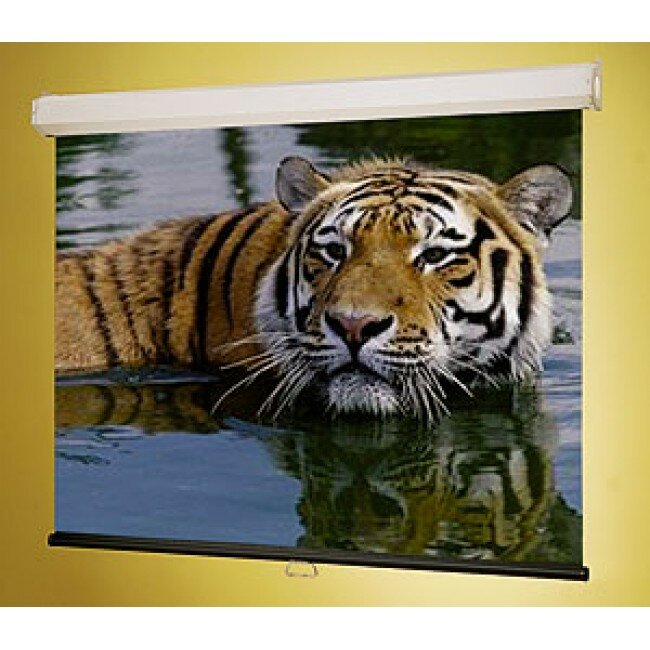 Экран Luma HDTV (9:16) 185/73quot; 91*163 XH800E (HCG) ebd 12quot; case white