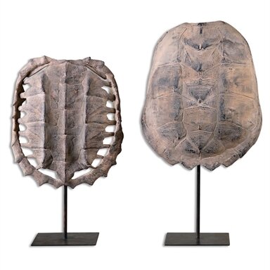 Turtle Shells, S/2