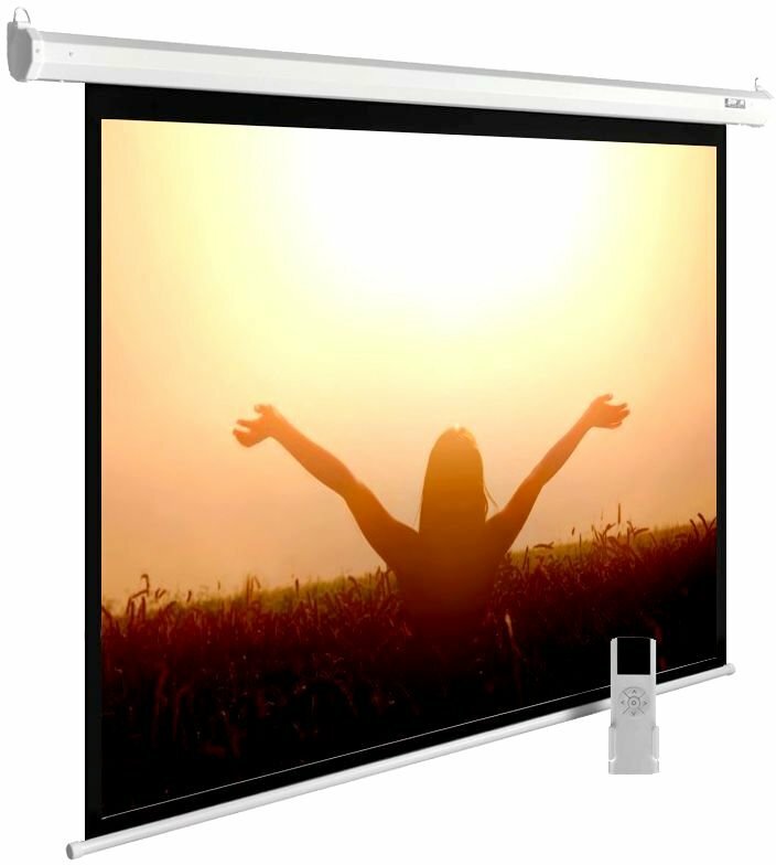 Экран настенный с электроприводом Cactus MotoExpert 165x220см (CS-PSME-220X165-WT)