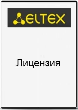 Лицензия ELTEX SMG2-RESERVE-L для активации резервирования по IP в режиме master-slave на платформе SMG-2016