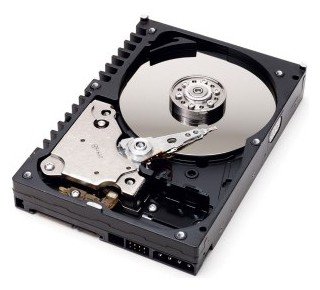 Жесткий диск Western Digital WD Caviar SE 300 GB (WD3000JD)