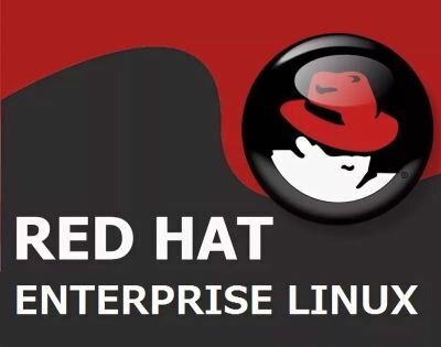 ПО по подписке (электронно) Red Hat Enterprise Linux Workstation, Self-support (Up to 4 Guests)