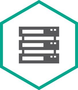 Право на использование (электронно) Kaspersky Security для систем хранения данных, Server. 1 FileServer 1 year Renewal