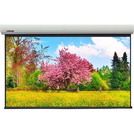 Экран с электроприводом LUMIEN Master Large Control 284x441 см (раб. область 269x431 см) (200quot;)