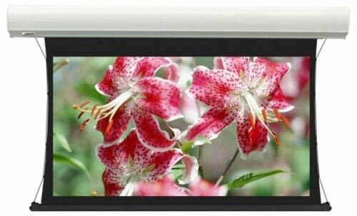 Экран Lumien LСTC-100124 Cinema Tensioned Control 168x257 см (раб.область 132х235 см 16:9) (106quot;) Matte White, доп.черная область 30 см, триггер., RS2