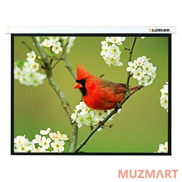 Проекционный экран 305x406 Lumien Master Picture (LMP-100114) Matte White Fiberglass