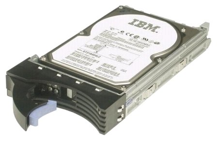 Жесткий диск IBM 1 TB 46C4455