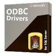 Devart ODBC Driver for SQL Server Desktop for Linux License Арт.