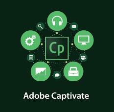 Право на использование (электронно) Adobe Captivate 2019 11 Multiple Platforms English TLP (1 - 9,999)
