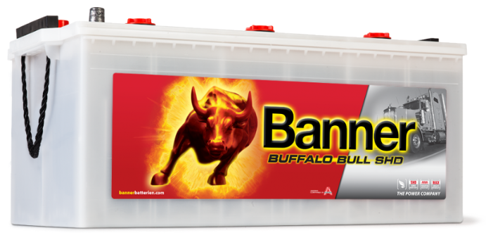 Аккумулятор для грузовиков Banner Buffalo Bull SHD 725 11