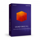 SOUND FORGE Pro 13 Suite - ESD - Site license 100+