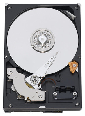 Жесткий диск Western Digital WD RE2-GP 750 GB (WD7500AYPS)