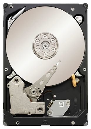 Жесткий диск Seagate Constellation 1 TB ST1000NM0021