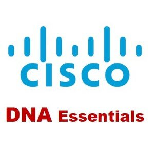 Лицензия Cisco C9200L-DNA-E-24-3Y