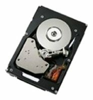 Жесткий диск IBM 2 TB 42D0782