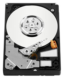 Жесткий диск Western Digital WD S25 300 GB (WD3000BKFG)