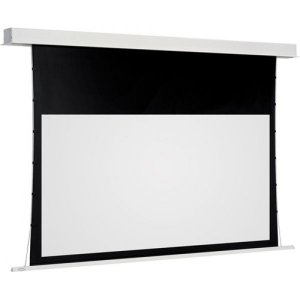 Draper Экран Euroscreen Sesame Electric Video (4:3) 220*195cm (VA210*157,5) TabT Flexwhite case white