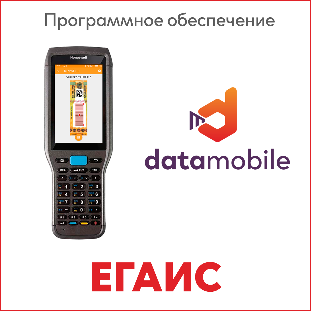 Сканпорт ПО DataMobile, версия Online Lite ЕГАИС (Windows/Android) Арт.