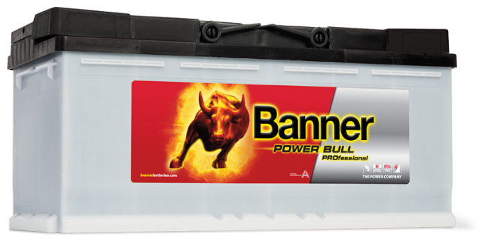 Автомобильный аккумулятор Banner Power Bull PROfessional PRO P110 40