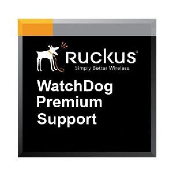 Программное обеспечение, лицензии, сервисные контракты Ruckus 807-T31N-1000