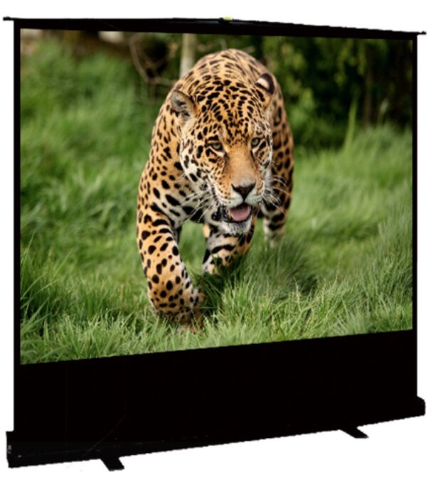 Экран для проектора Sakura Cinema S OK SCPSF-92X163 16:9 напольный, black