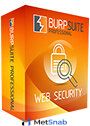 PortSwigger Burp Suite Professional license-valid for one year Арт.