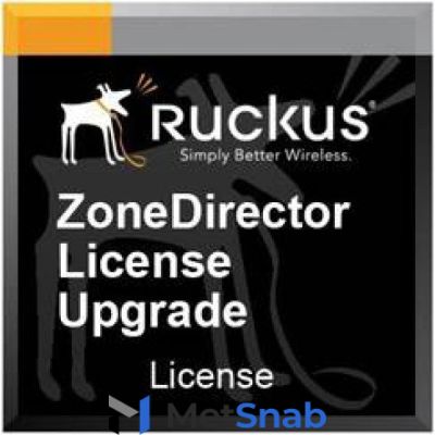 Программное обеспечение, лицензии, сервисные контракты Ruckus 909-0300-ZD00