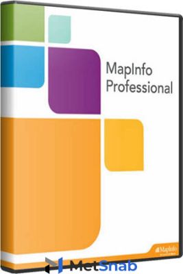 Pitney Bowes Software Inc ГИС MapInfo Pro 2019 рус. 64 разрядная версия