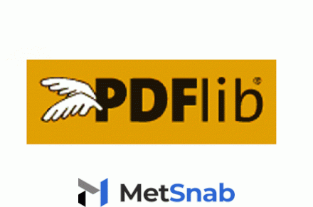 PDFlib PPS 9.2 Windows Server Арт.