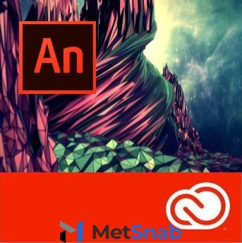 Подписка (электронно) Adobe Animate CC / Flash Professional CC for teams Продление 12 Мес. Level 1 1-9 лиц. Education