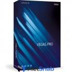 VEGAS Pro 17 - ESD Site license 100+