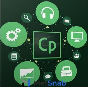 Подписка (электронно) Adobe Captivate for enterprise 1 User Level 4 100+, Продление 12 Мес.