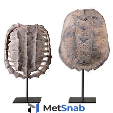 Turtle Shells, S/2