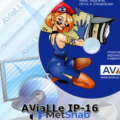 AViaLLe IP-16 Ключ защиты для для работы с 16-ю IP-видеокамерами.